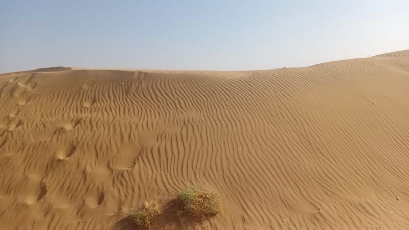 Yokoso Thar Desert Tours & Camp Jaisalmer