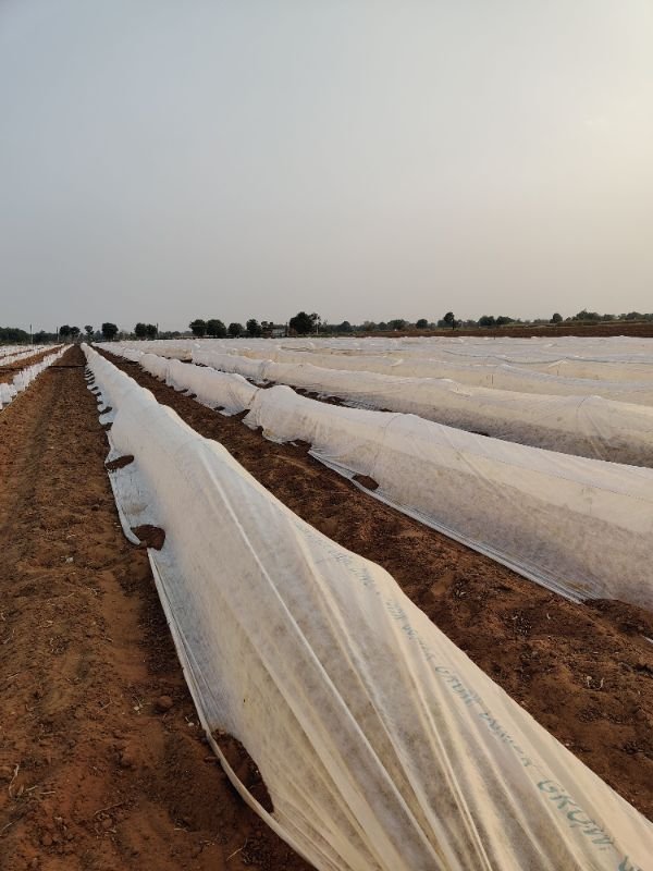 Maxwell Spun Melt Fabric Pvt Ltd image 3