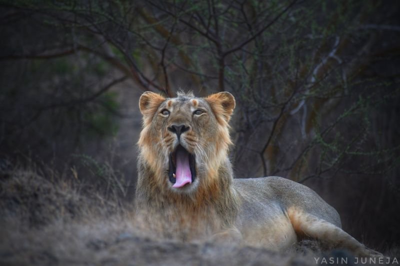 The marvelous villa resort 