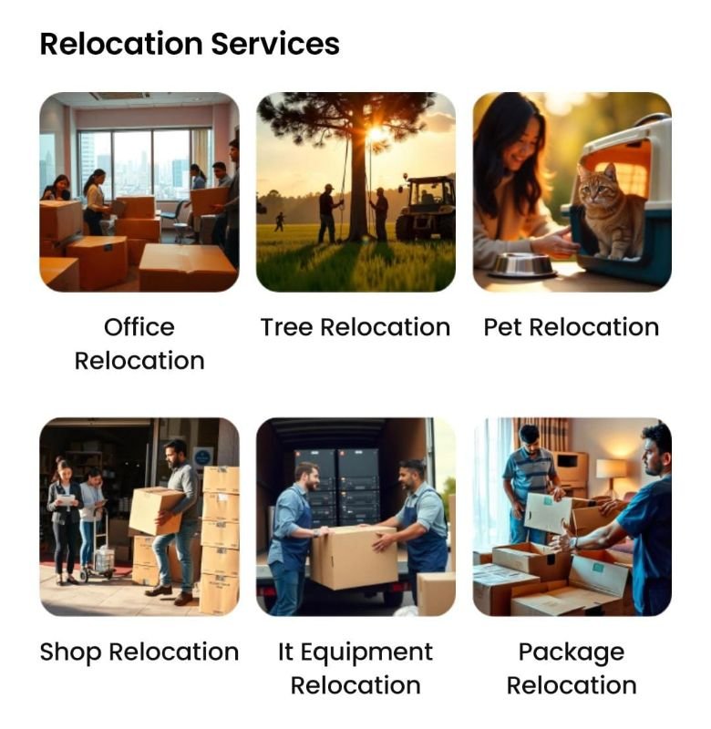 TASHI TRANSPORT COMPANY  image 2