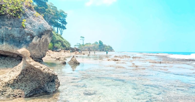 Andaman Vatika tour and travels image 2