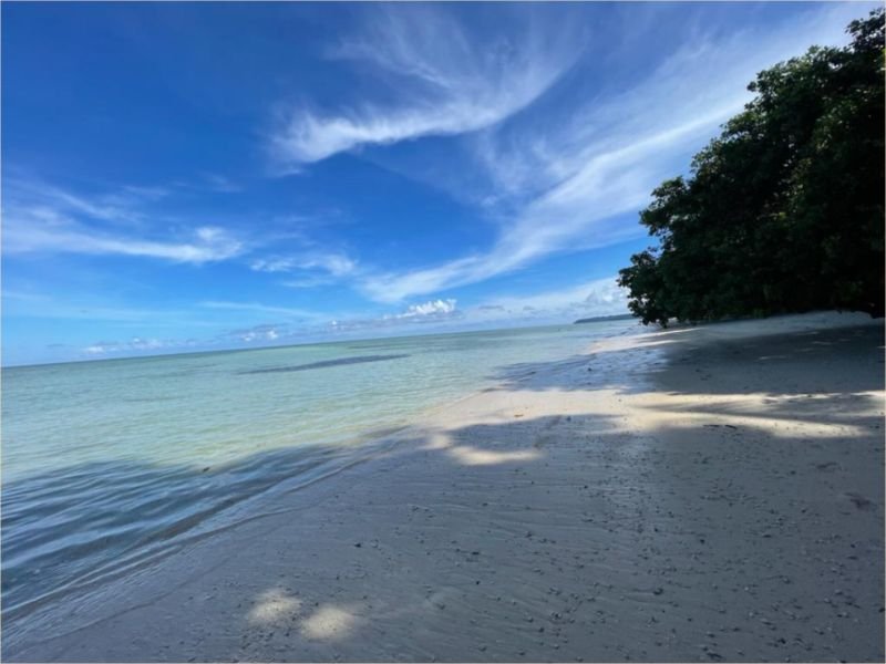 Andaman Vatika tour and travels image 3