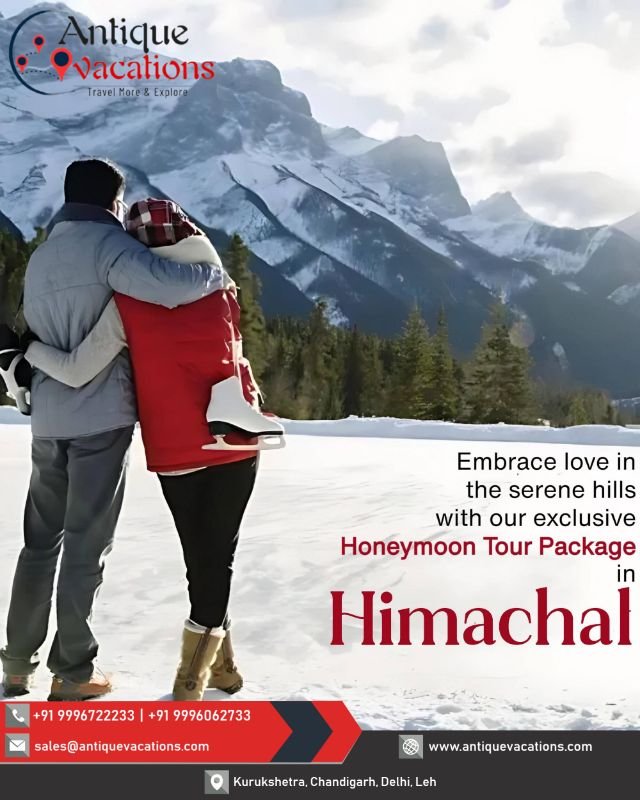 Antique Vacations  image 3