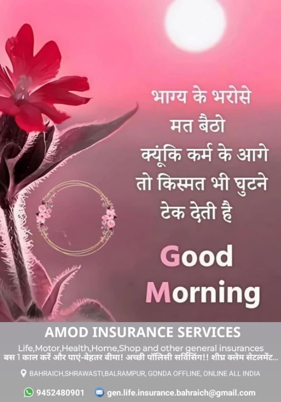 AMOD INSURANCE SERVICES 